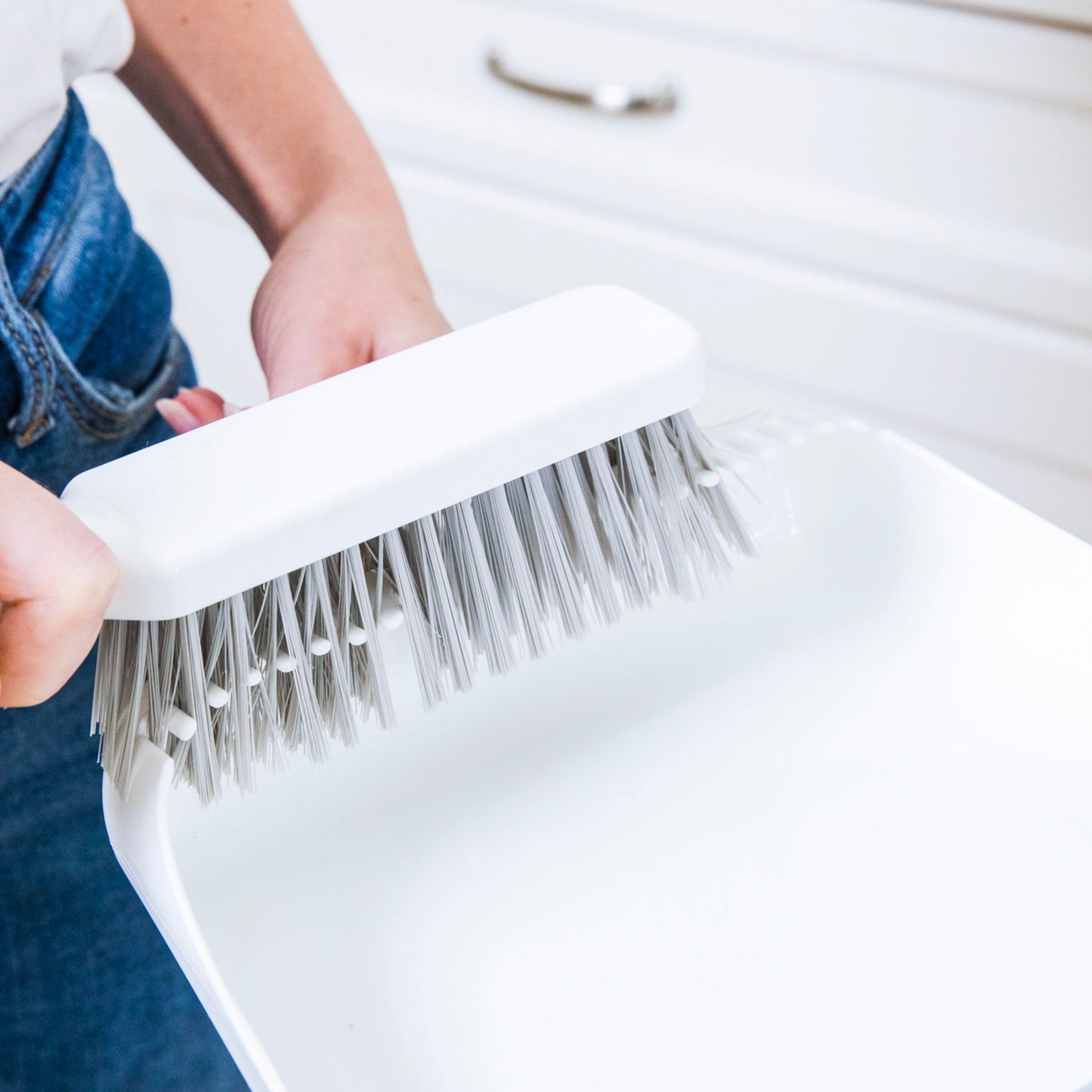 dustpan and brush