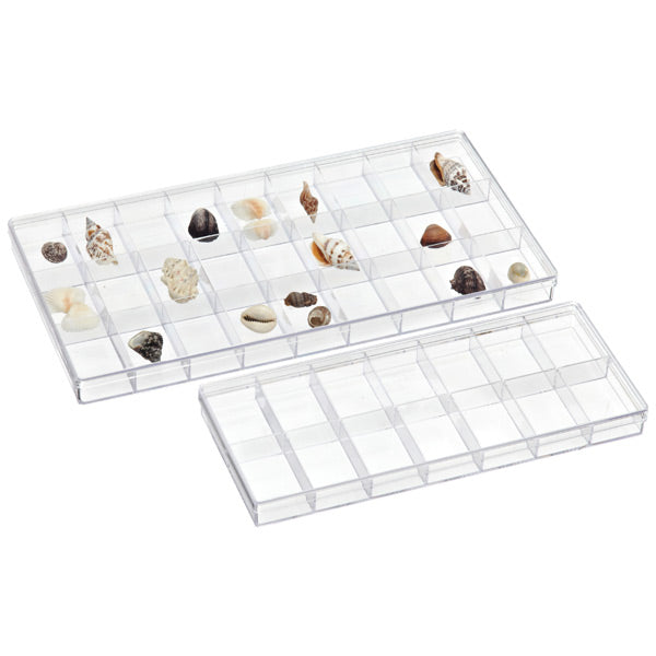 Clear Compartment Boxes